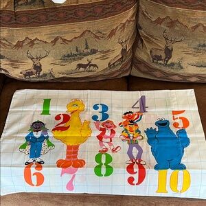 Colorful Sesame Street Character Pillowcase’s NWT.Vintage.